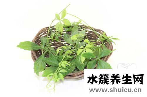 絞股藍(lán)功效