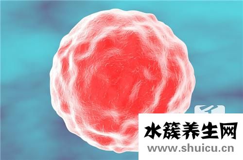 什么是病毒感染