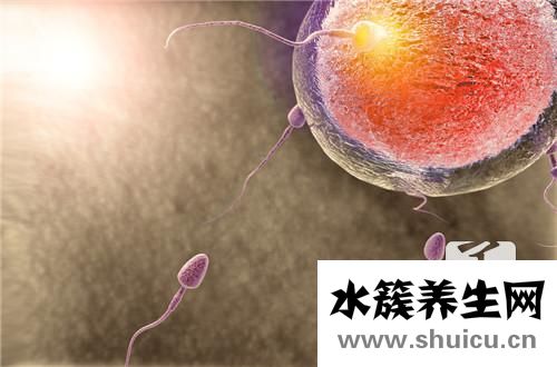 不來月經會排卵嗎