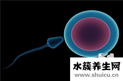 著床出血會(huì)持續(xù)幾天