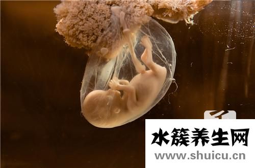 孕婦吸多久甲醛才畸形