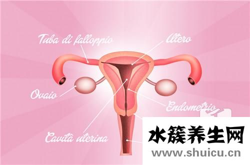 出現卵黃囊說明什么