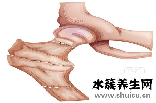 盆底肌康復有必要嗎