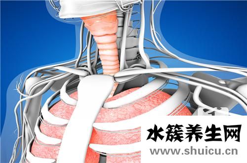 食管裂孔疝治療