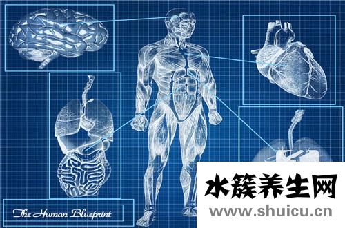腸粘連治療方法