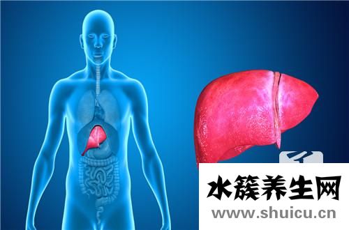 肝經(jīng)不通癥狀