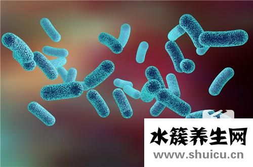 鼻子里面長膿包