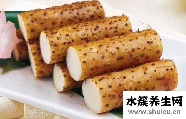 山藥怎么吃補腎最好