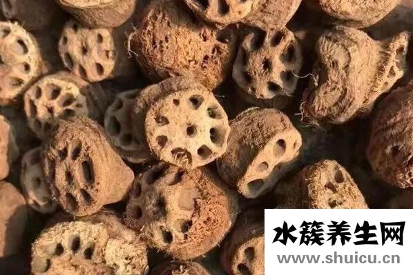 藕節(jié)煮水的功效