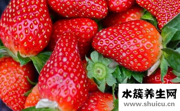 養胃護胃5種水果