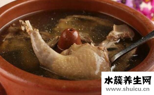 鴿子哪五種人不能吃