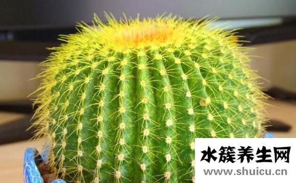 白領(lǐng)防輻射的方法