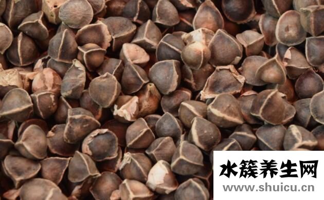 吃什么補肝最好