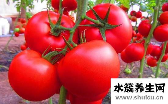 吃西紅柿有什么好處