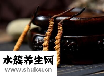 冬蟲夏草到底是什么