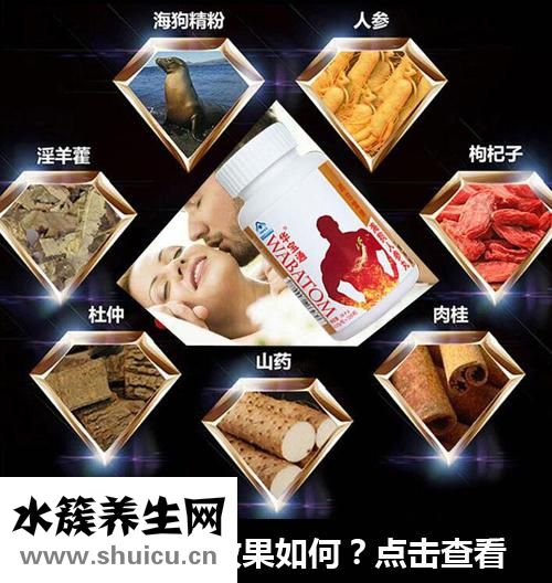 海狗人參丸成分