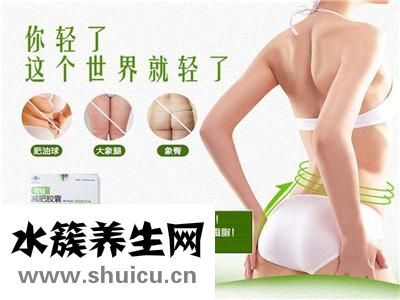 綠瘦多少錢(qián)