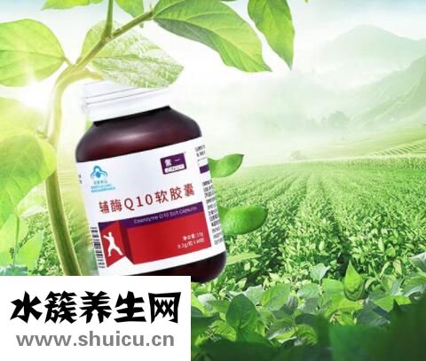 輔酶q10的價格