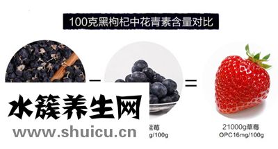 黑枸杞的功效與作用及食用方法