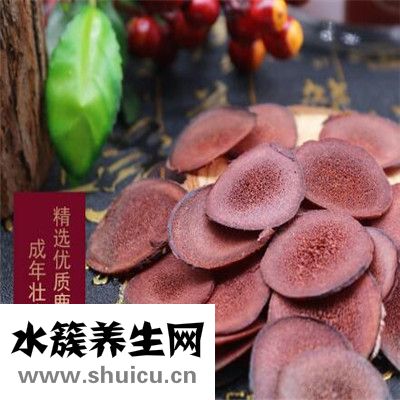 鹿茸片的功效與作用