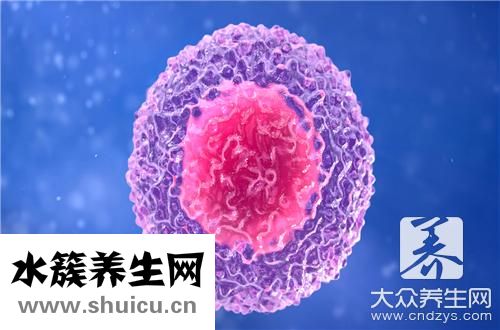 白細(xì)胞數(shù)目偏低