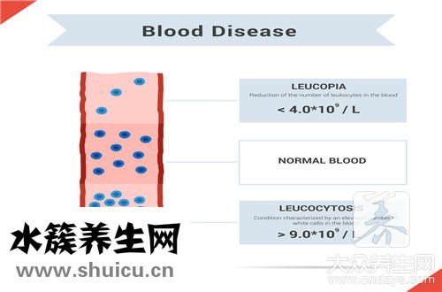 白細(xì)胞數(shù)目偏低