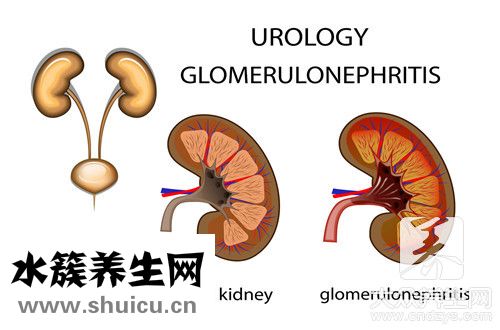 估算腎小球濾過率