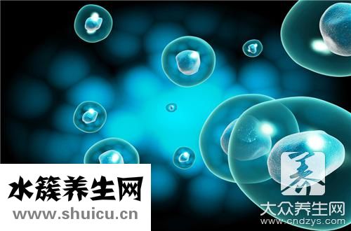 自體干細胞移植