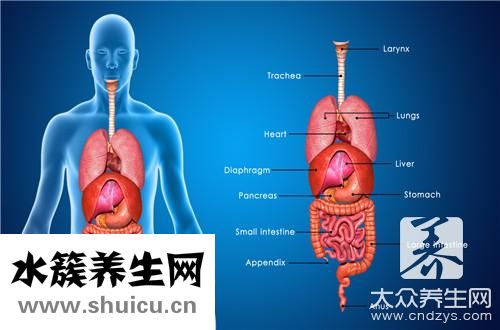 膽堿酯酶正常值