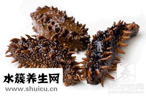 泡發好海參保存