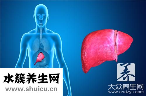 喝什么茶對肝好