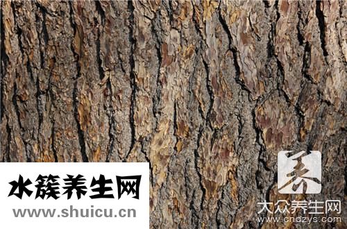 消滅白蟻簡單有效方法