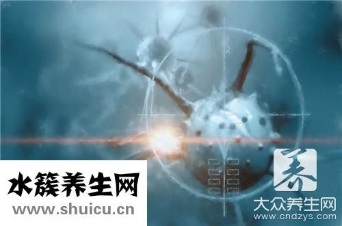 無血流信號都是良性