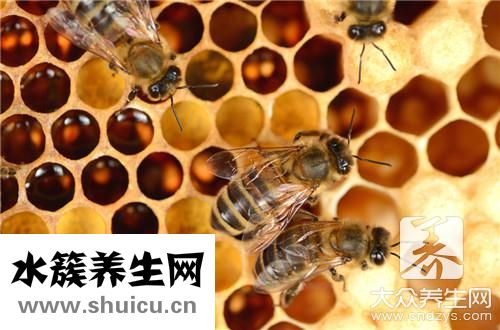 蜜蜂怕什么驅趕