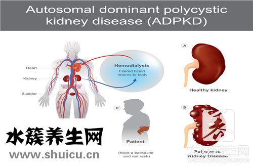肝昏迷還能活多久