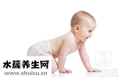 6個月身高體重標準