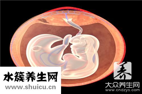 幾周有胎心胎芽