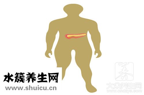 胰島素抵抗指數(shù)