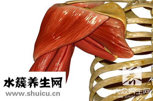 肌酐清除率正常值