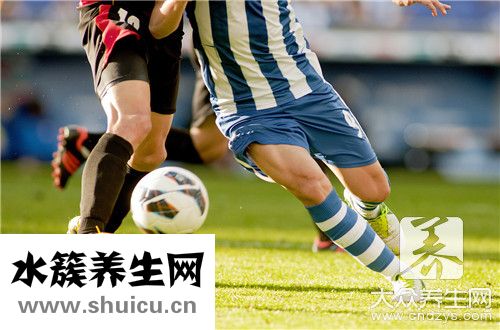 腿部力量訓練方法