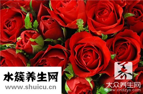 玫瑰花瓣可以什么