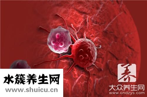 花玉米是轉基因嗎