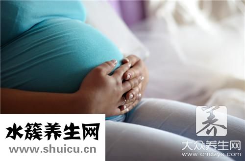 孕婦可以紫蘇嗎