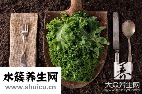 什么菜好消化又養(yǎng)胃