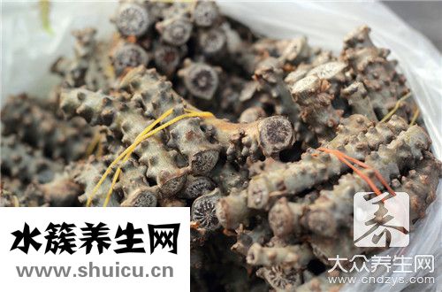 東北菜團(tuán)子