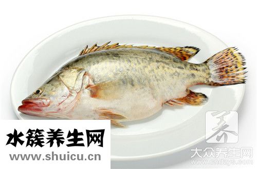 鐵板鯽魚
