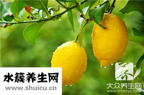 檸檬和起泡水好