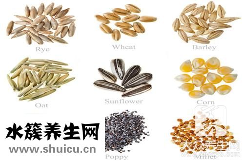 五谷雜糧功效與作用