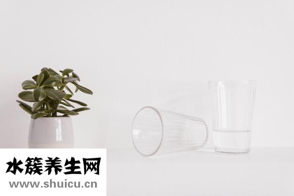 各種茶的作用與功效