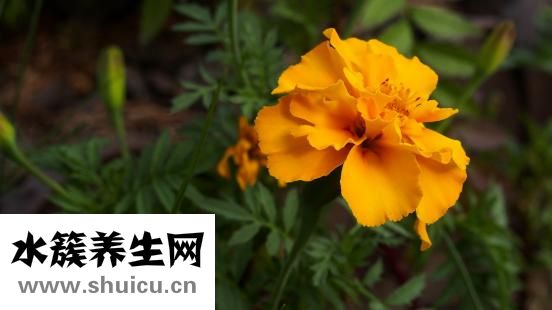 嗜酸性粒細胞偏高